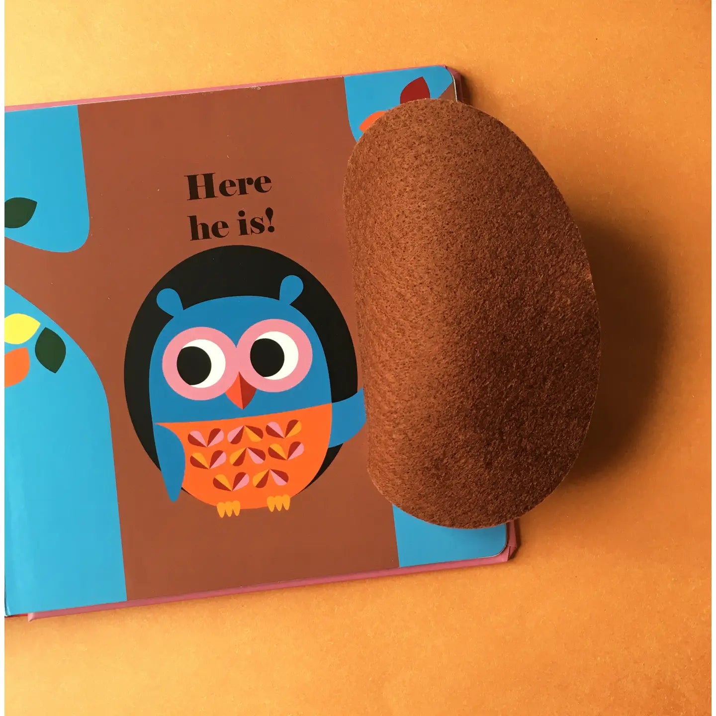 Where's Mr Owl?