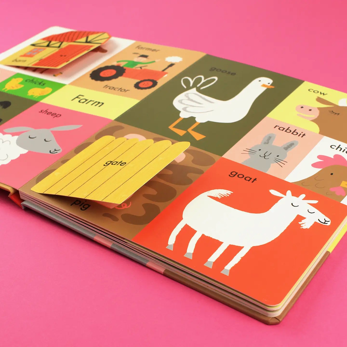 100 First Words: A lift the flap board book