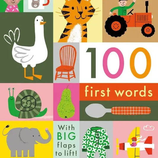100 First Words: A lift the flap board book