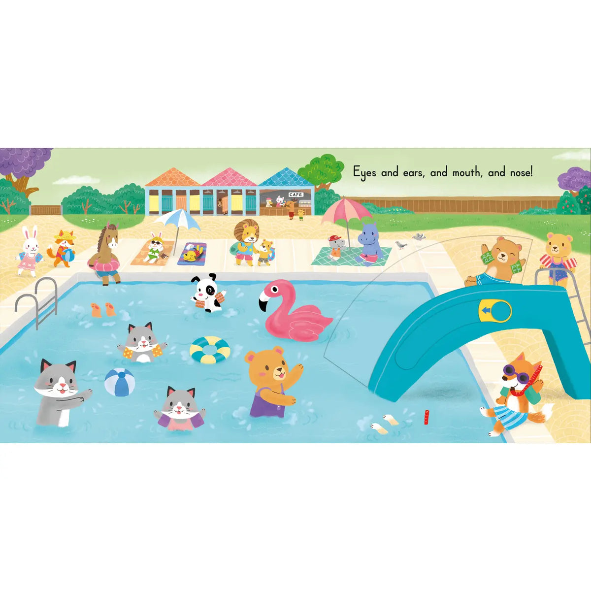 Head, Shoulders, Knees and Toes – Sing-along board book
