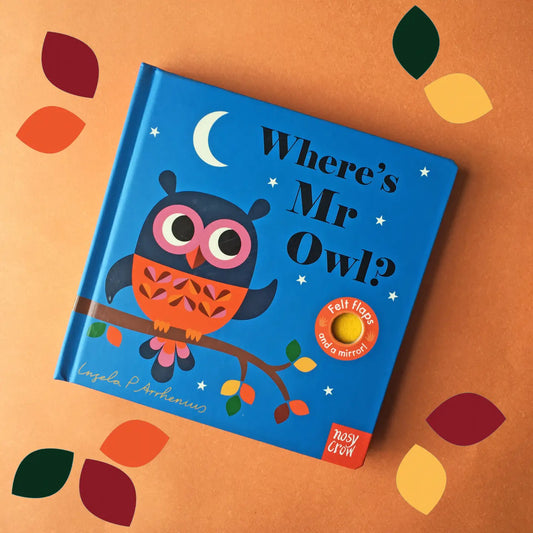 Where's Mr Owl?
